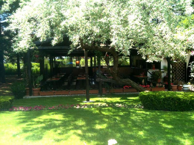 Dunav Hotel 써니비치 외부 사진