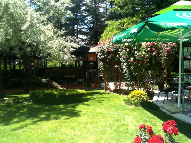 Dunav Hotel 써니비치 외부 사진